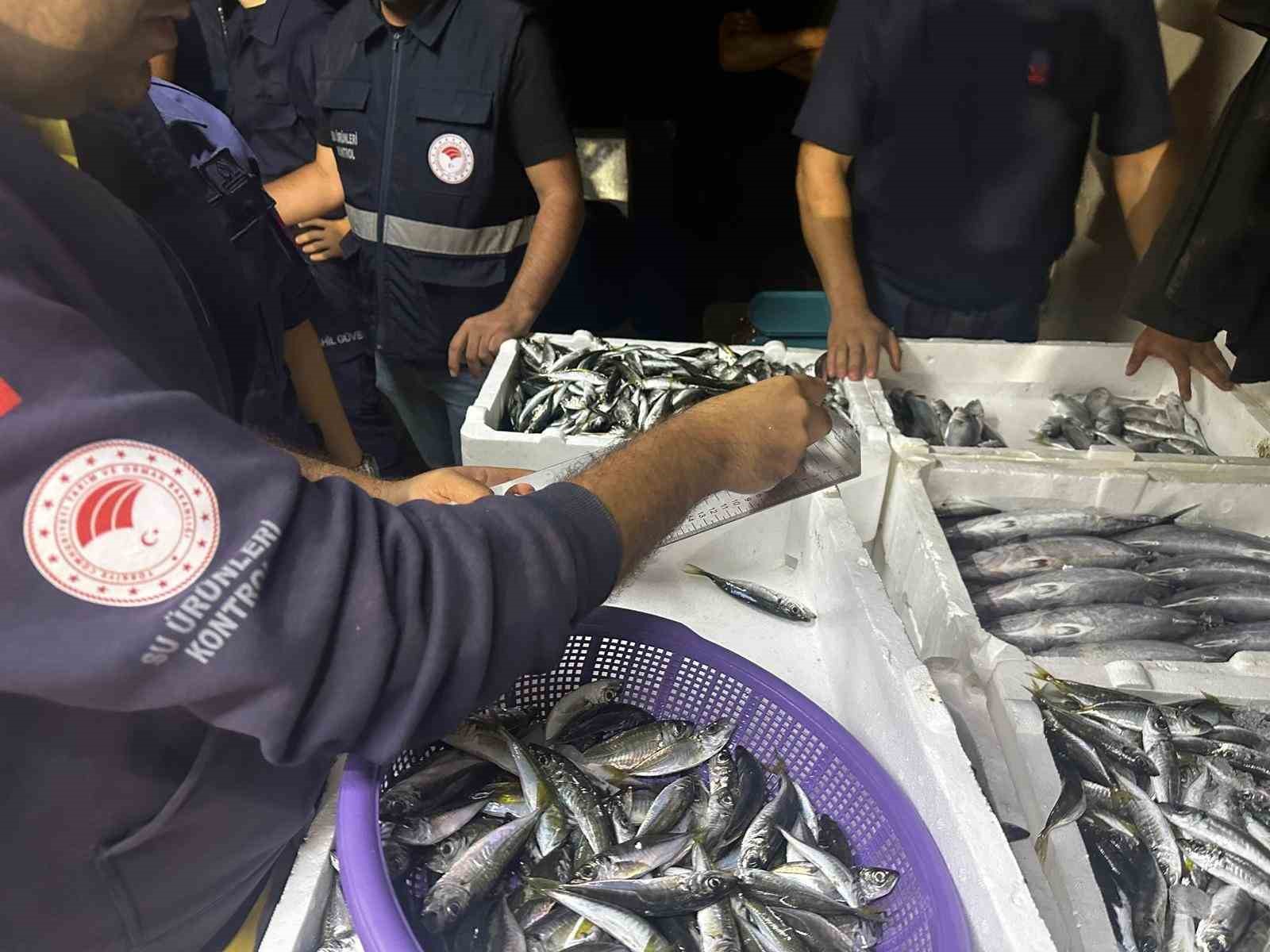 100 Kilo İstavrit Ve 14 Kilo Lüfere El Konuldu