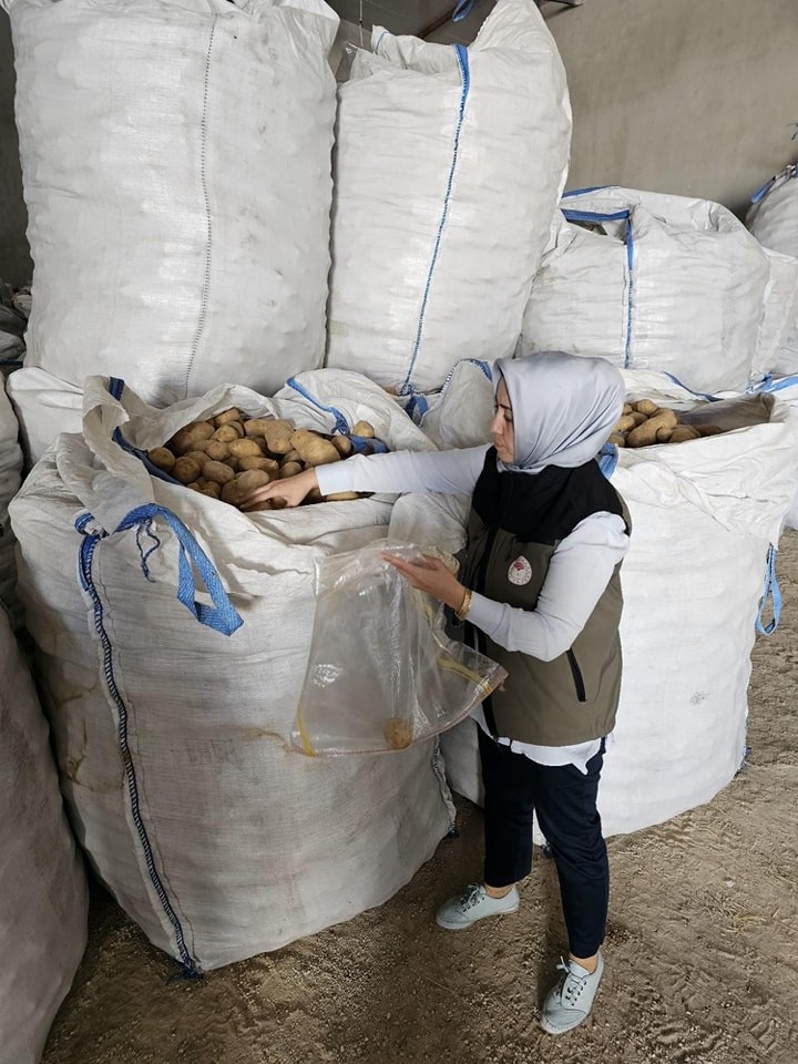 Afyonkarahisarda Tunusa 132 Ton Patates İhracatı Yapıldı