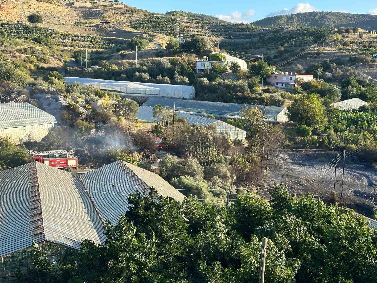 Alanyada Avokado Bahçesinde Yangın: 60 Ağaç Kül Oldu