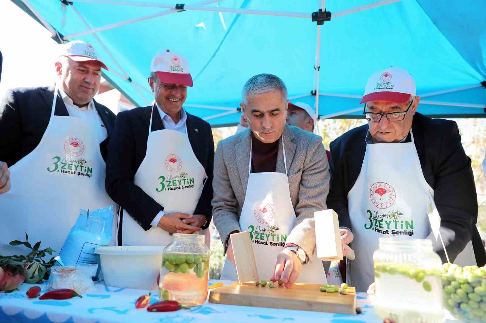 Aliağada 3. Zeytin Hasat Şenliği Düzenlendi