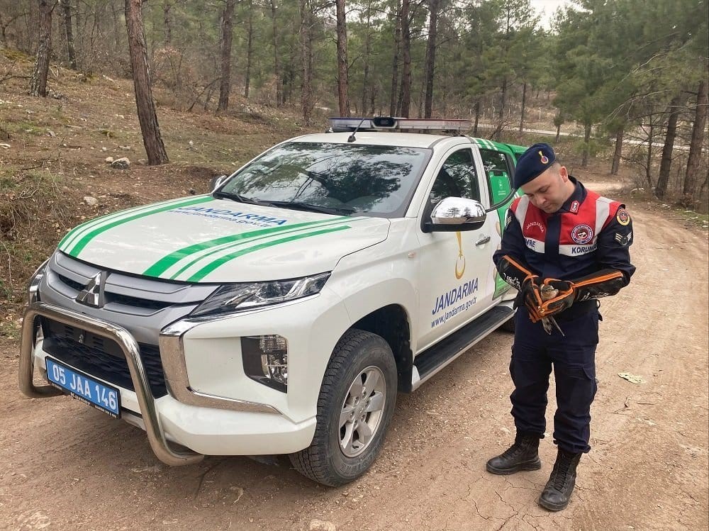 Amasyada Yaralı Bulunan Atmacaya Haydi Şefkati