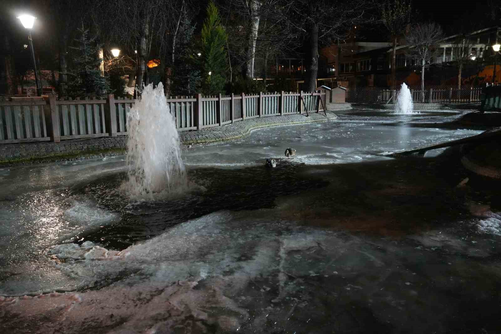 Ankarada Hava Sıcaklığı Eksi 10 Dereceye Düştü: Kuğulu Parkın Havuzu Dondu