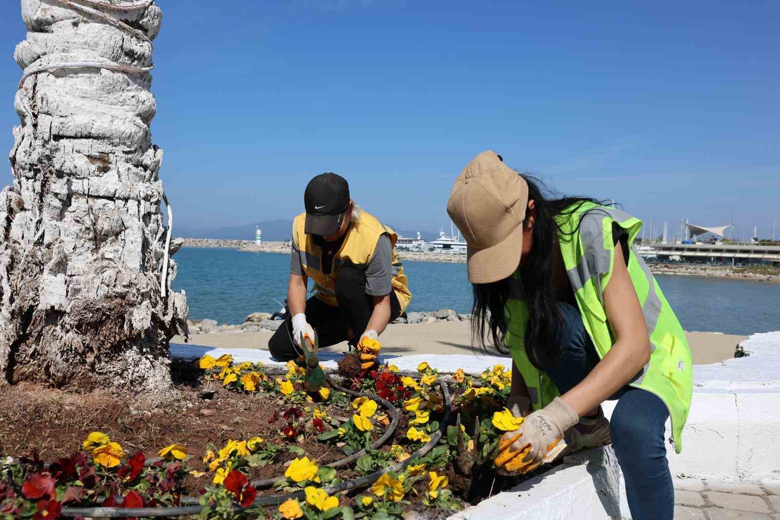 Başkan Çerçioğlundan Aydının Turizm Merkezlerinde Çalışma Başlattı