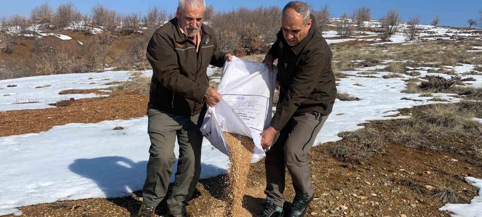 Batmanda Hayvanlar İçin Doğaya Yem Bırakıldı