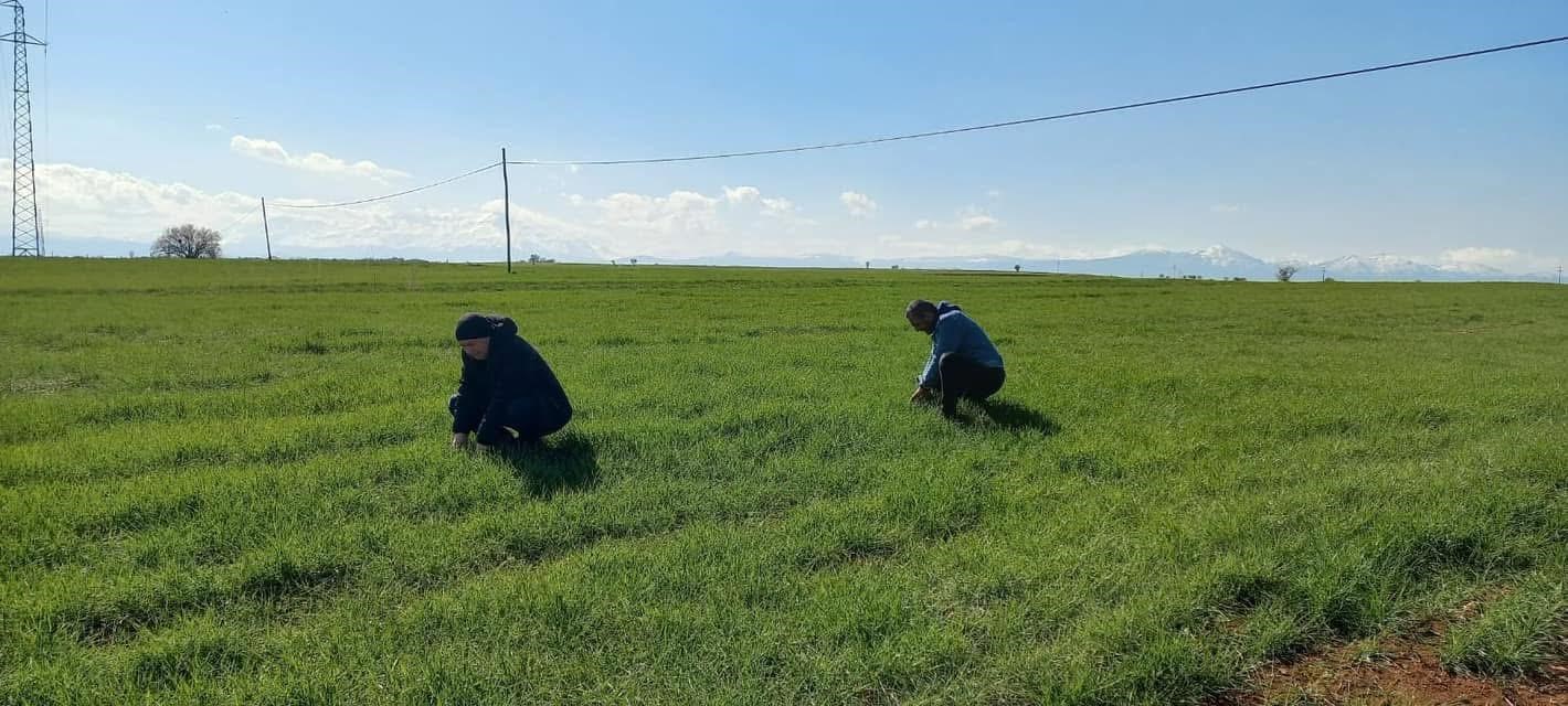 Beyşehirde Zirai Don Kontrolü Yapıldı