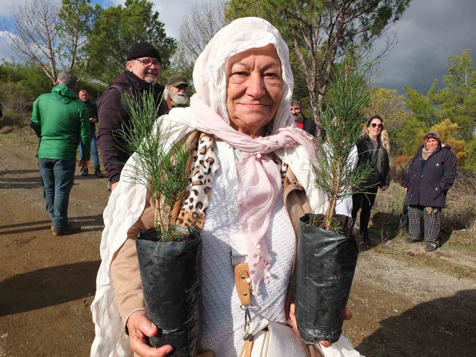 Burhaniye De 83 Lük Leyla Nine Ağaç Dikti