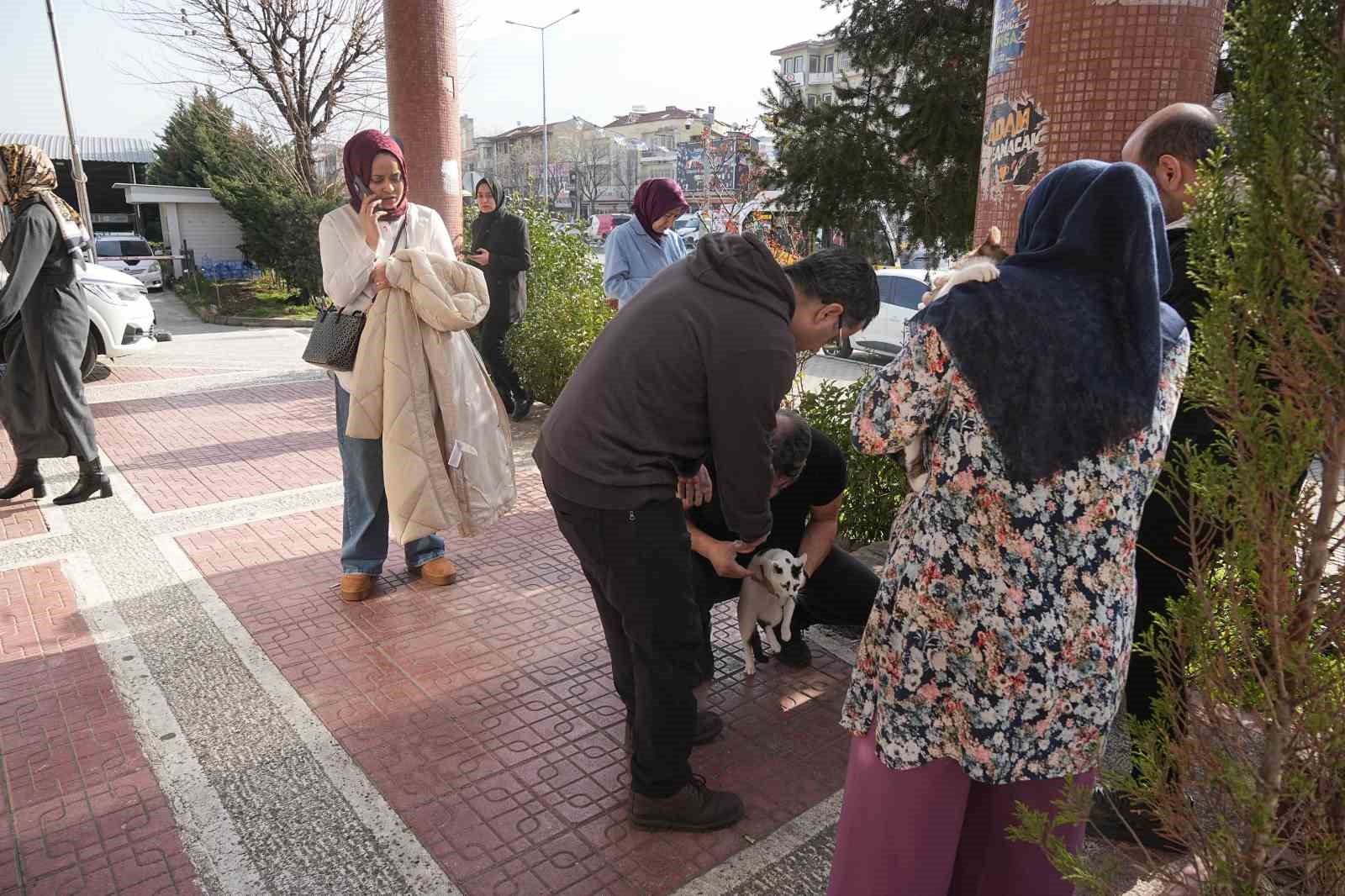 Bursada 4 Büyüklüğünde Deprem