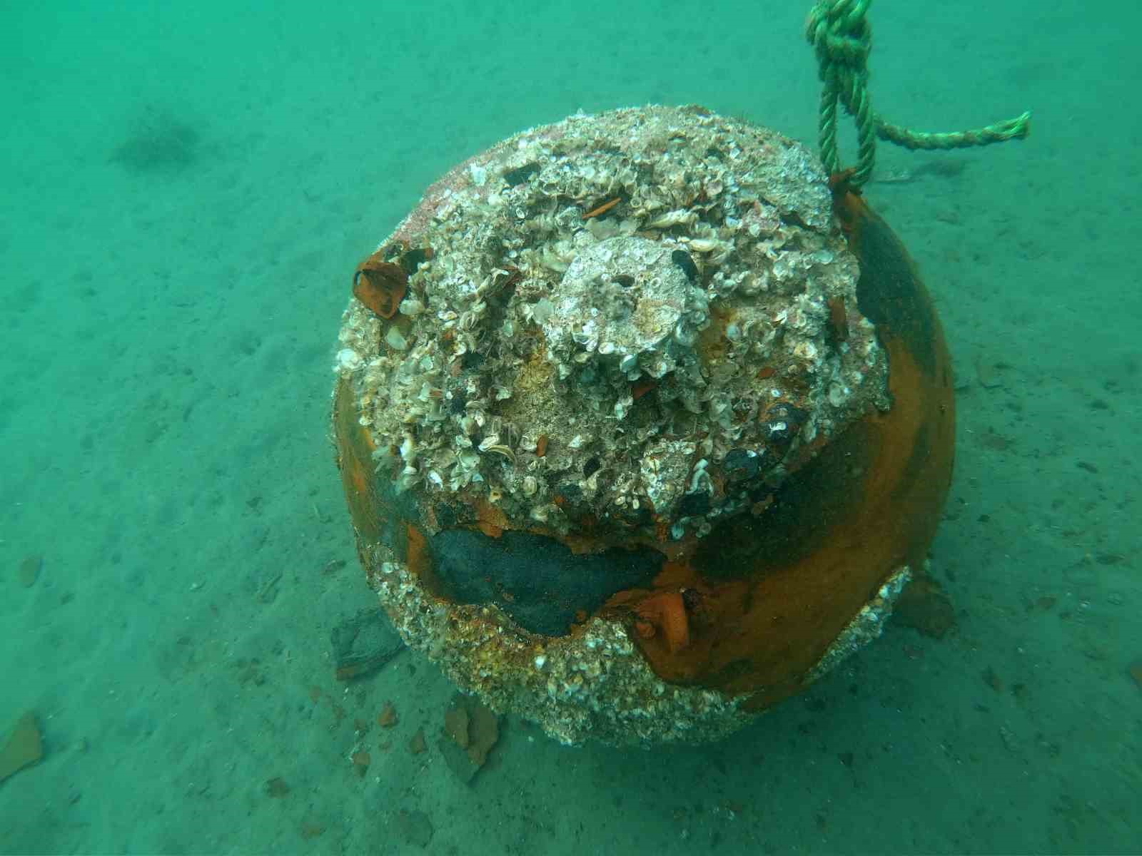 Çanakkale Savaşlarından Kalma Mayın Denizde İmha Edildi