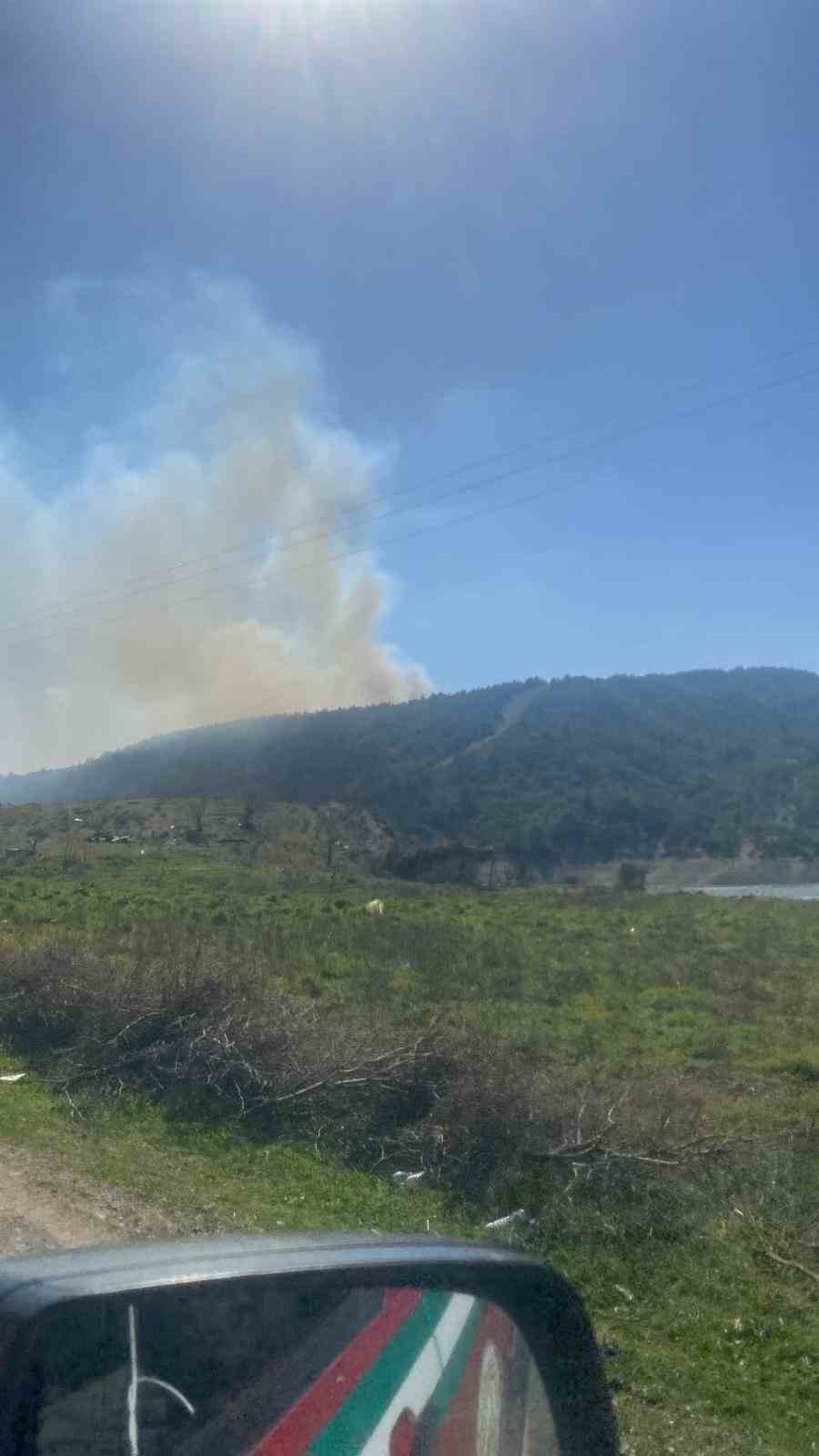 Çanakkaledeki Orman Yangınında 3 Hektar Alan Zarar Gördü