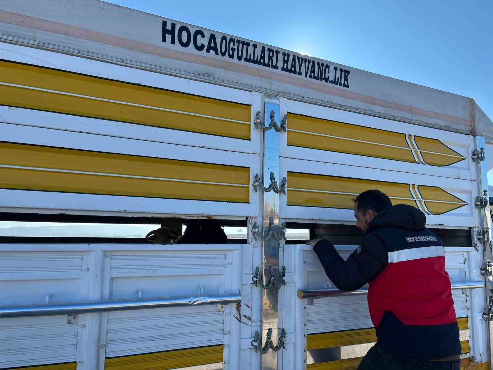 Çavdarhisarda Kaçak Ve Belgesiz Hayvan Hareketleri Kontrolü