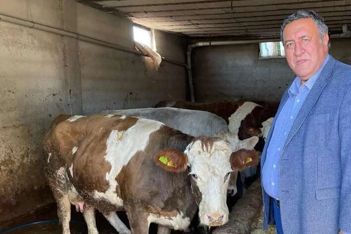 CHP'li vekil Gürer: Ağustos'ta süt krizi yaşanmasın!