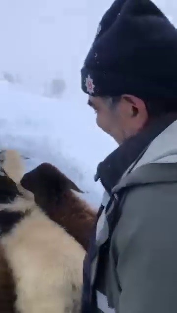 Dağda Mahsur Kalan Çoban Köylülerin Yardımıyla Kurtarıldı