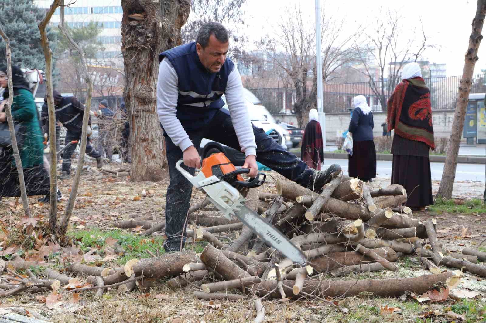 Diyarbakırda 24 Bin 833 Ağaç Budandı