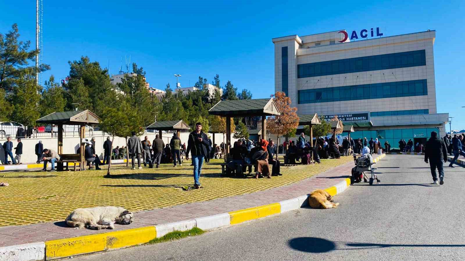 Diyarbakırda Köpek Saldırısına Uğrayan Çocuk Kafasından Yaralandı