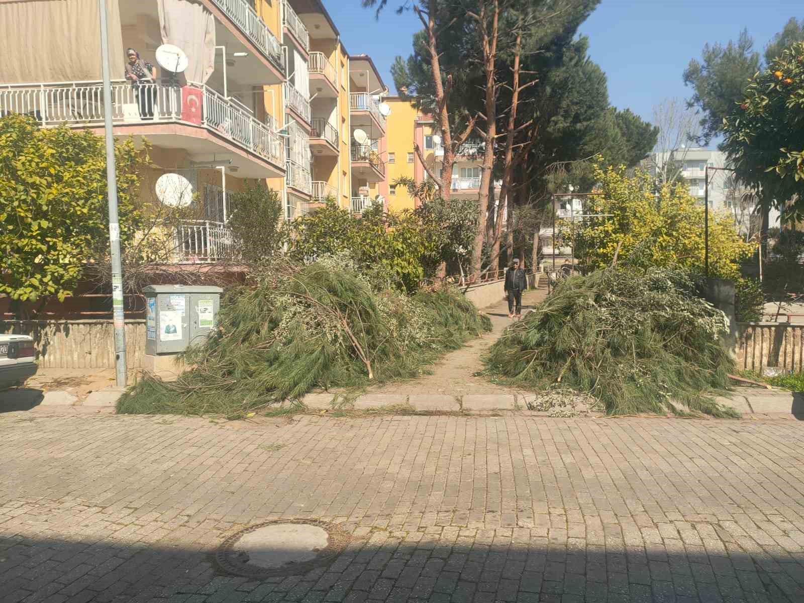 Efeler Belediyesinden Budama Atıkları Uyarısı