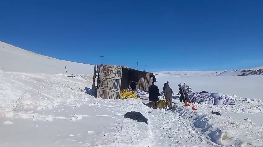 Erzurumda Yem Yüklü Kamyon Devrildi