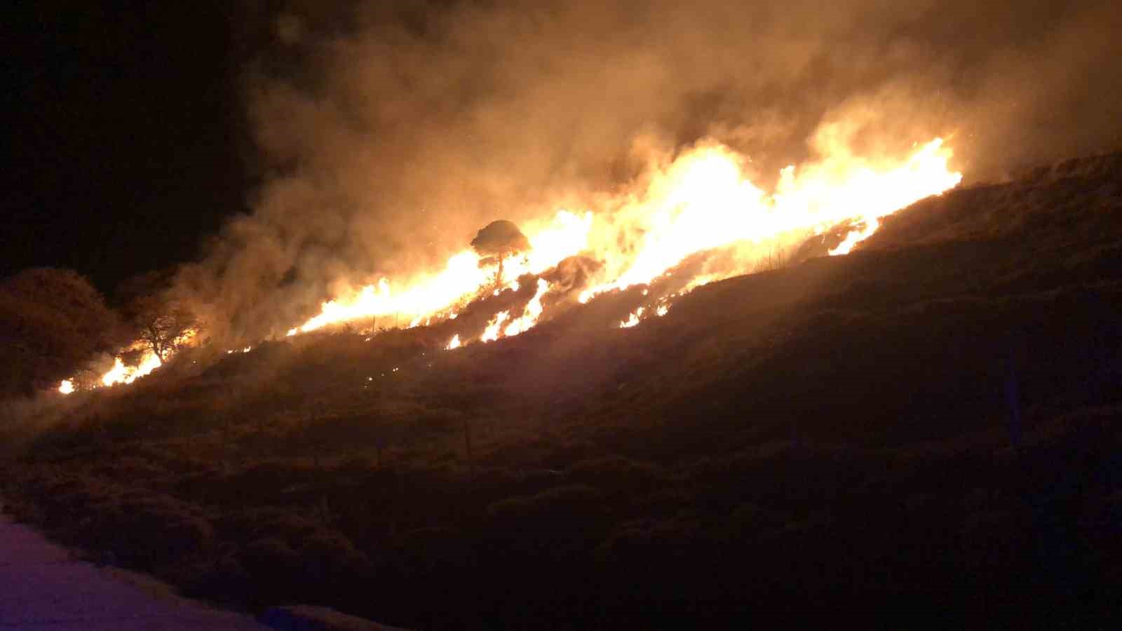 Gökçeadada Otluk Alanda Korkutan Yangın