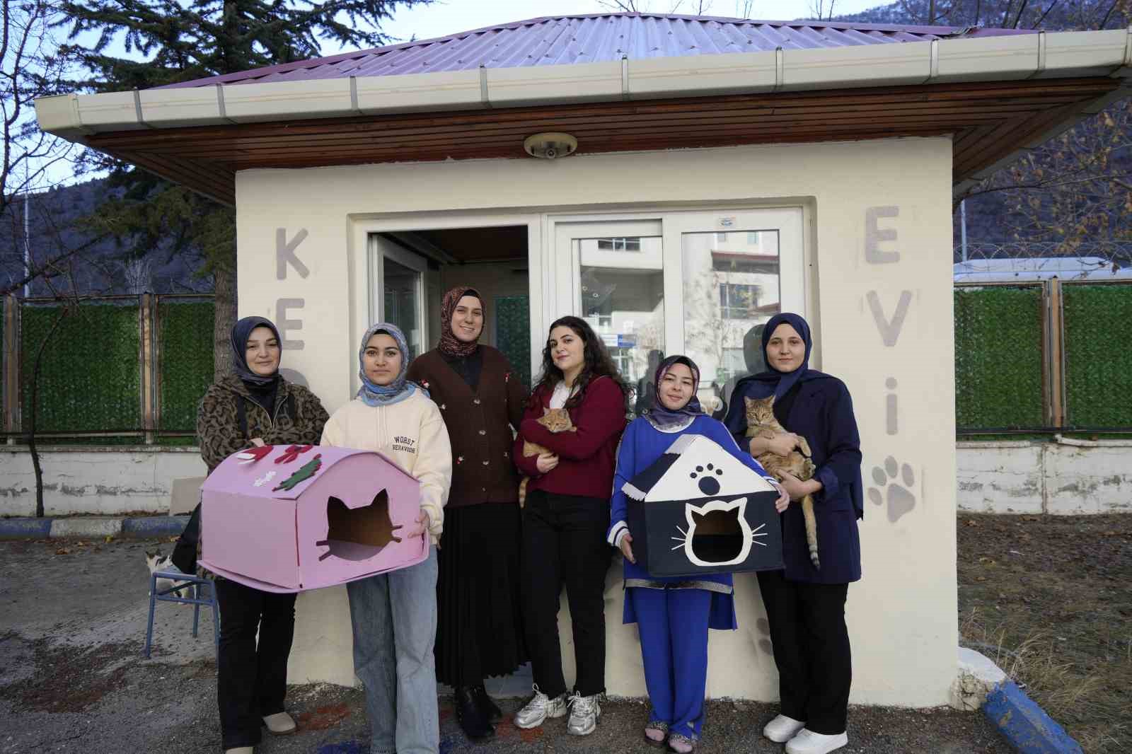 Gümüşhanede Öğrenci Yurdunun Güvenlik Kulübesi Kedilere Yurt Oldu