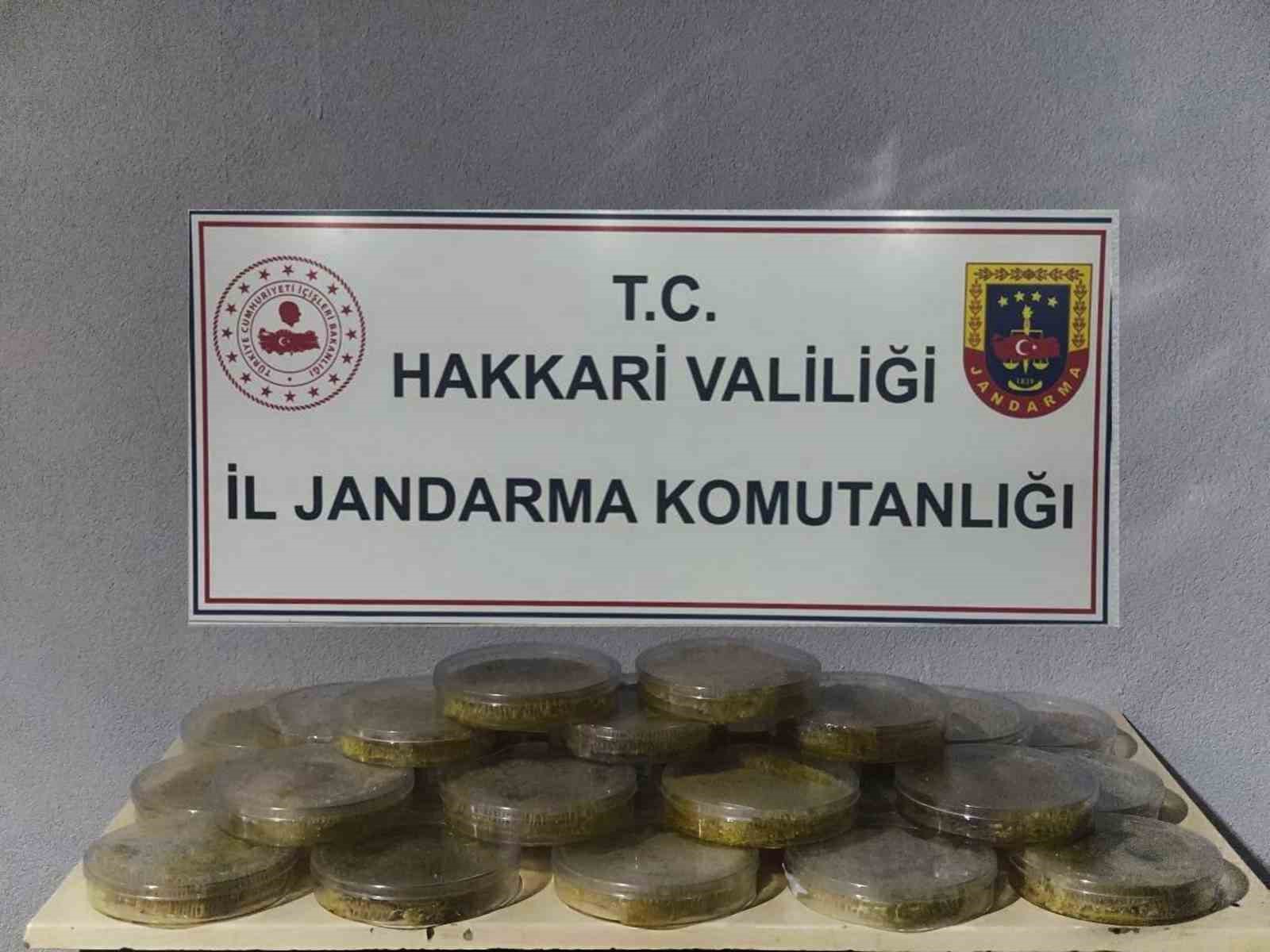 Hakkari Gümrük Kaçakçılığı Operasyonu