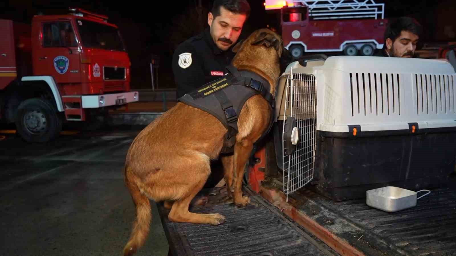 Hassas Burunlu Köpekler Arama-Kurtarma Çalışmaları İçin Konyaya Hareket Etti