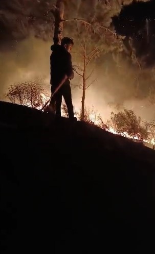 Hatayda Ormanlık Alanda Çıkan Yangın Söndürüldü