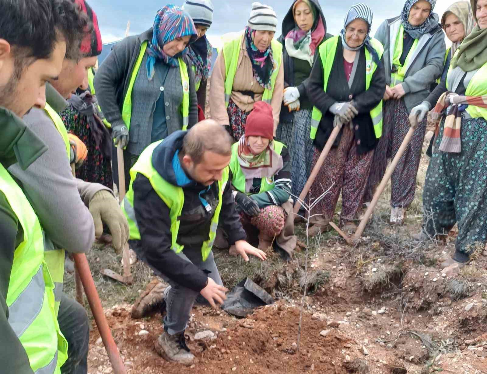 Hisarcıkta 43 Bin 300 Fidan Toprakla Buluştu