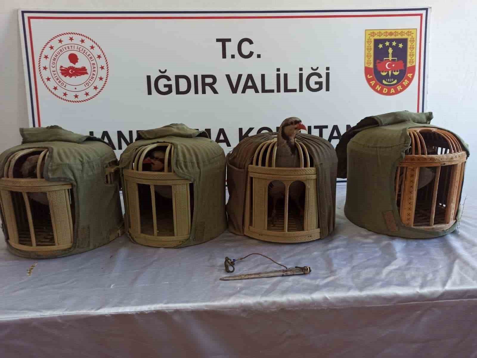 Iğdırda Kınalı Keklik Avcılarına 402 Bin 825 Lira Ceza