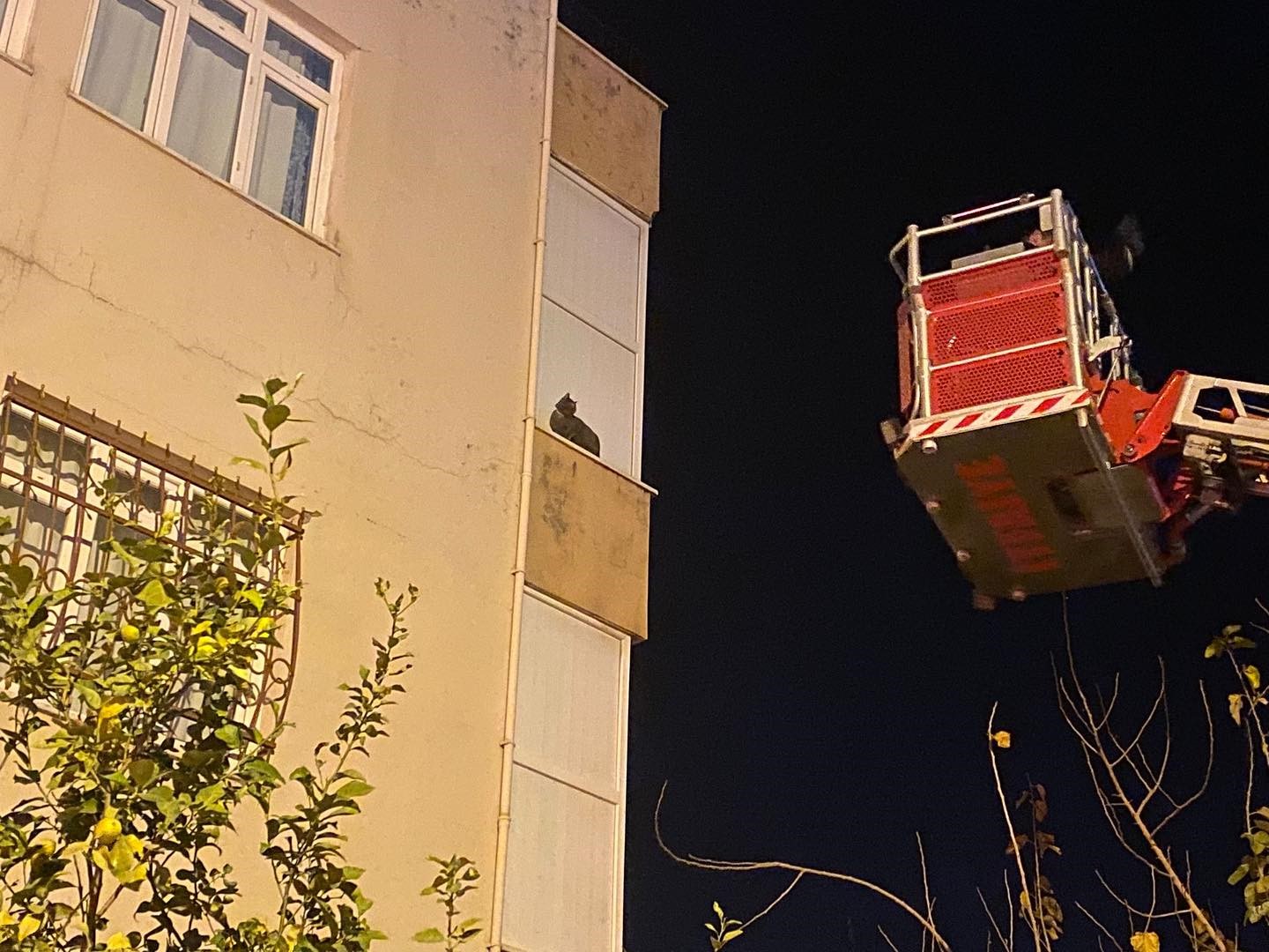 İskenderunda Balkonda Mahsur Kalan Kediyi İtfaiye Kurtardı