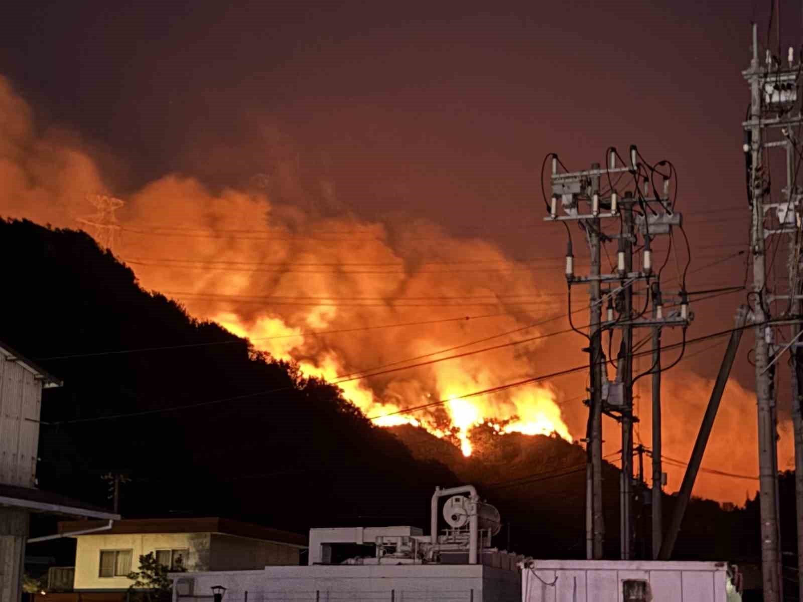 Japonyada Orman Yangını Alarmı: 2 Eyalet Alevlere Teslim Oldu