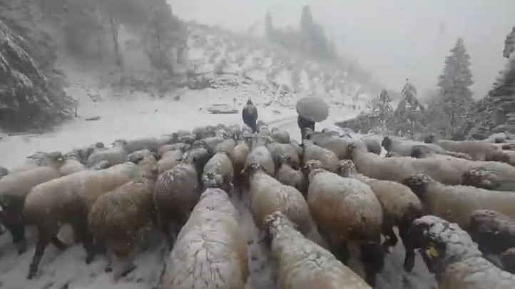 Kar Bastırınca Yayladan Mezraya 3 Günde Ulaştılar