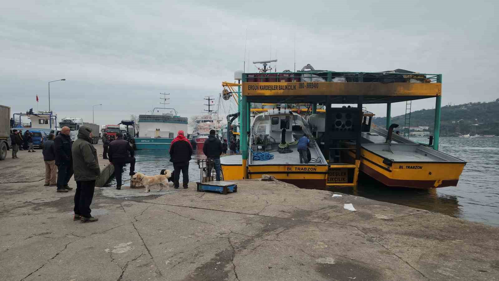 Karadeniz Ereğli Limanında Hamsi Hareketliliği