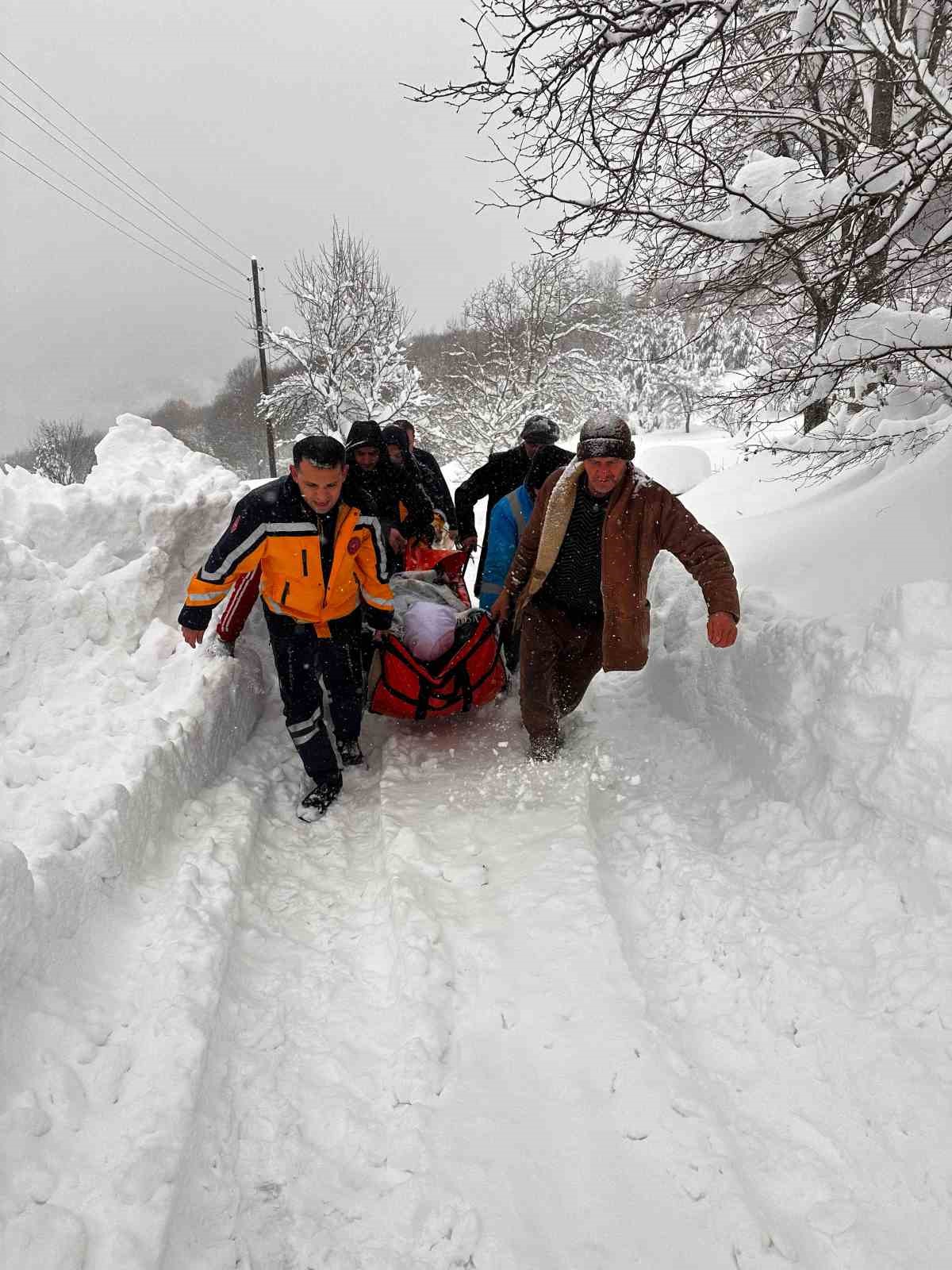 Karda Koah Hastasına Böyle Ulaşıldı