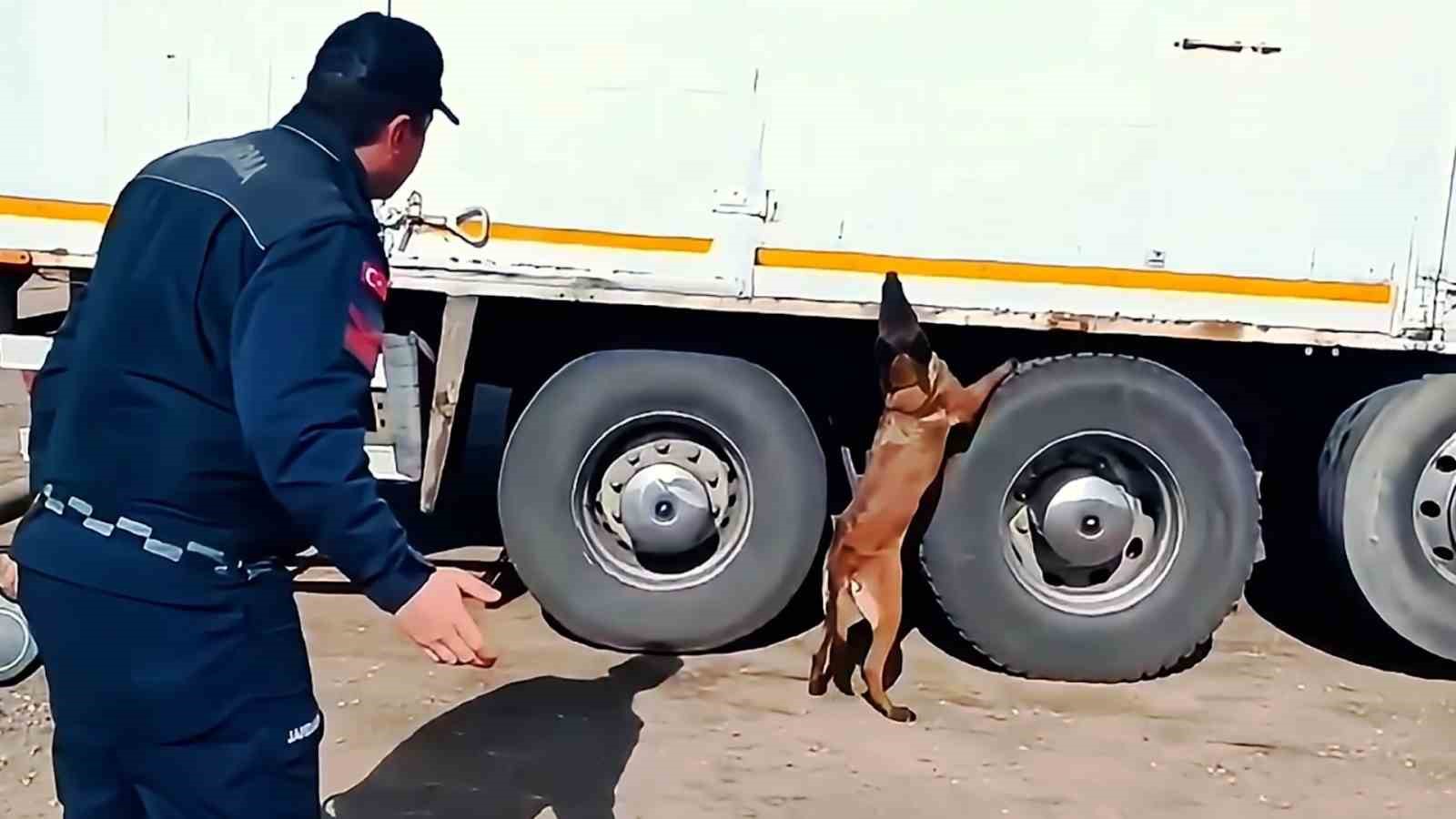 Kargo Aracında 1 Tonun Üzerinde Kaçak Tütün Ve Yüzlerce Paket Sigara Ele Geçirildi