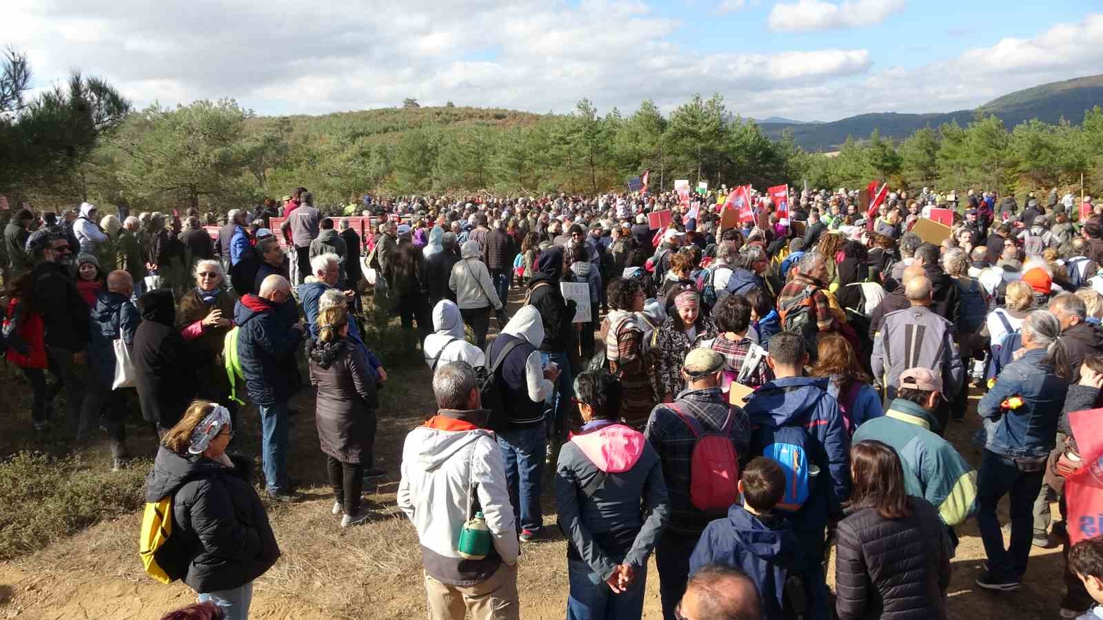 Kaz Dağlarındaki Ağaç Kesimine Çevrecilerden Tepki