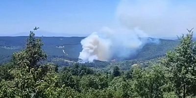 Keles'in Baraklı Köyü'nde orman yangını