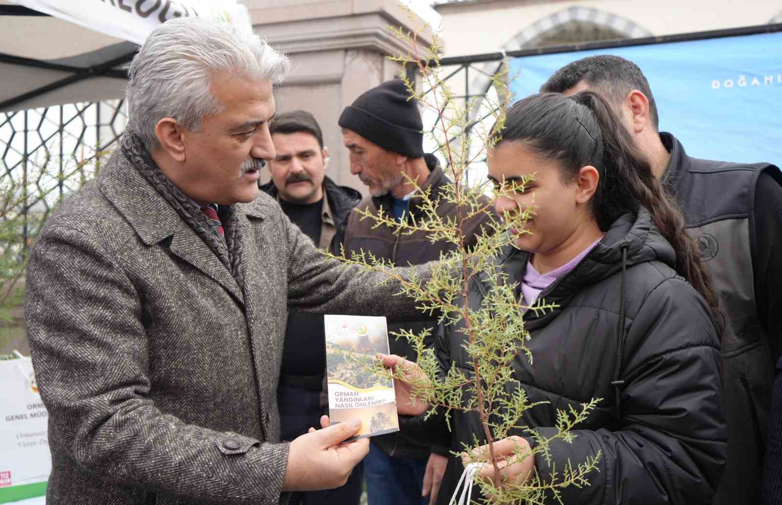 Kırıkkalede Vatandaşlara Ücretsiz Fidan Dağıtıldı