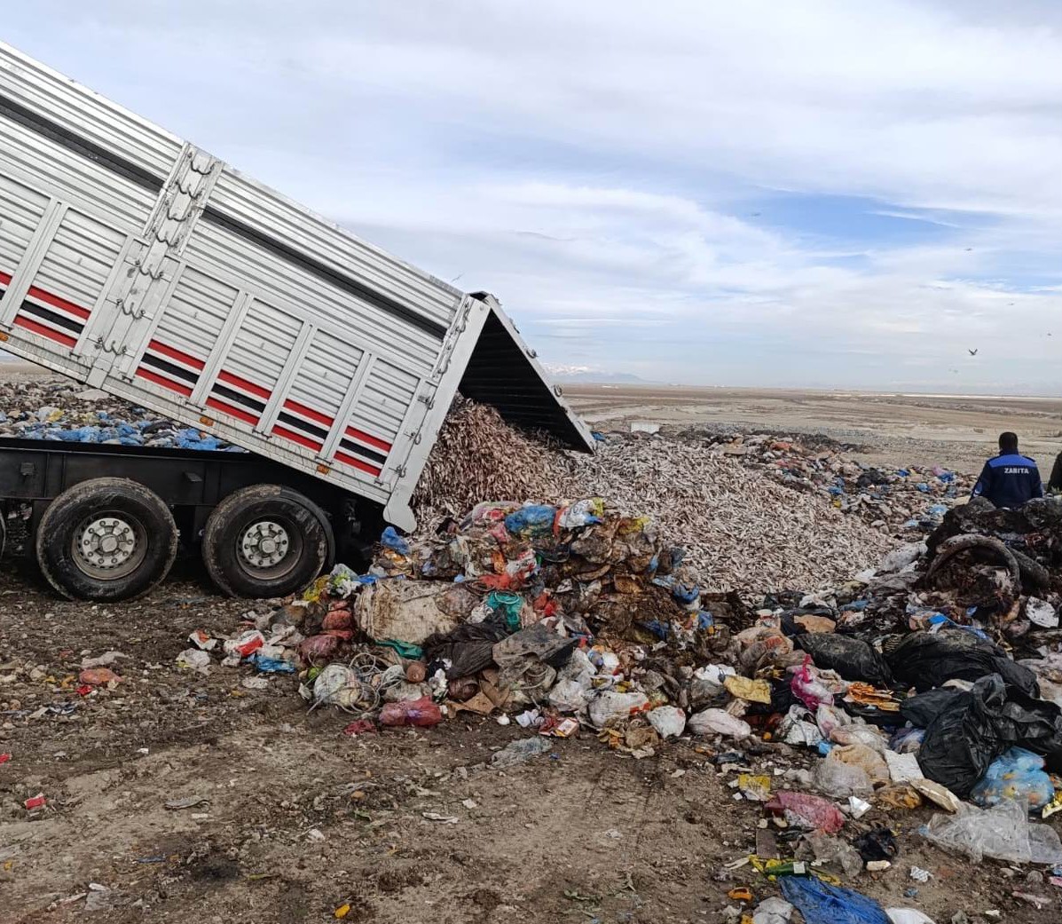 Konyada Tır Dolusu Kokmuş Balık Yakalandı