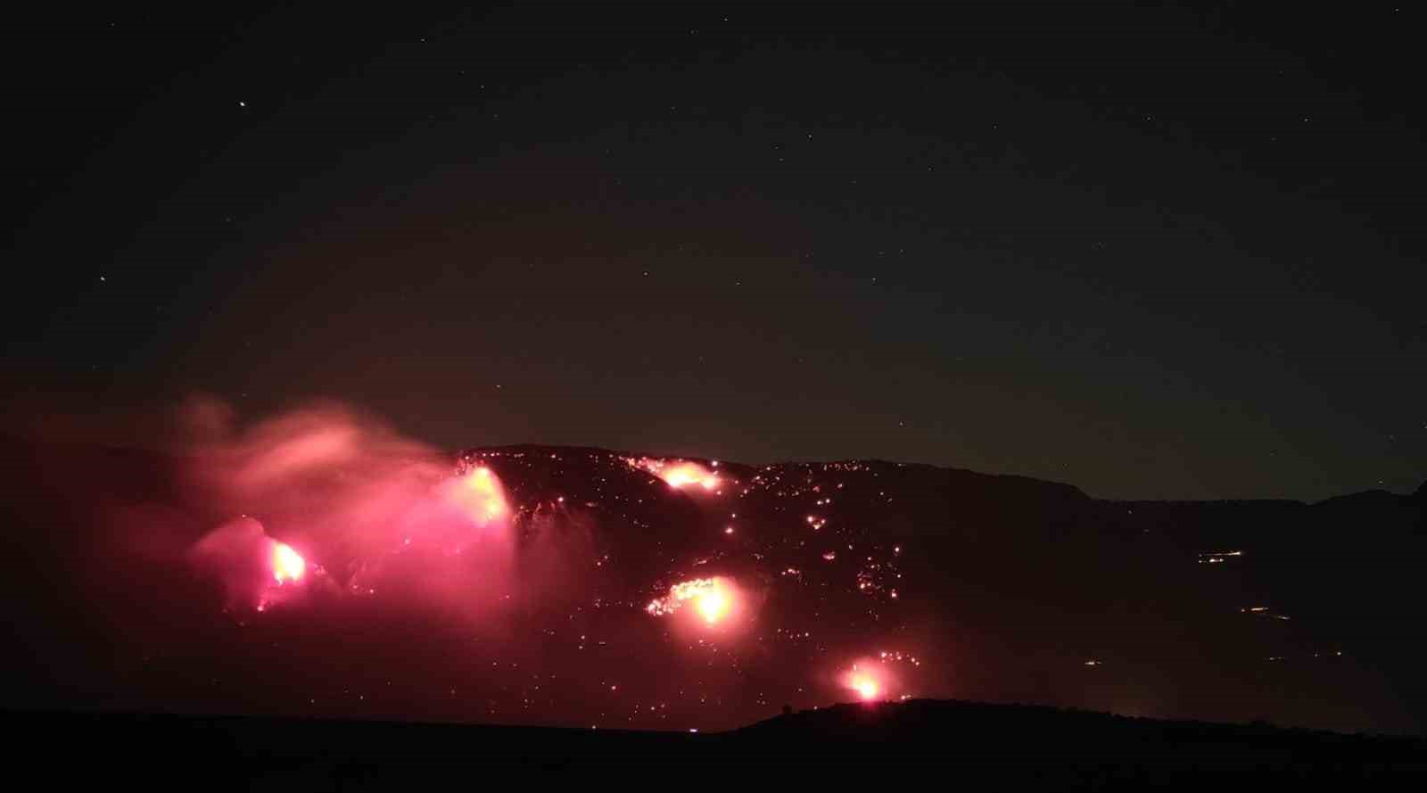 Köyceğizde Orman Yangını