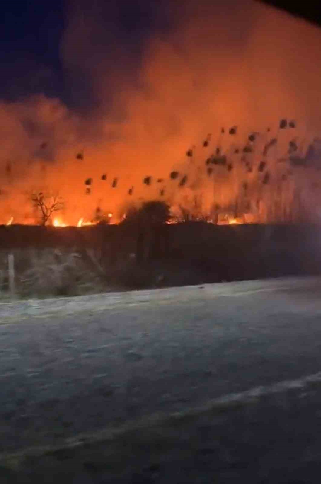 Köyceğizde Sazlık Yangını Başladı