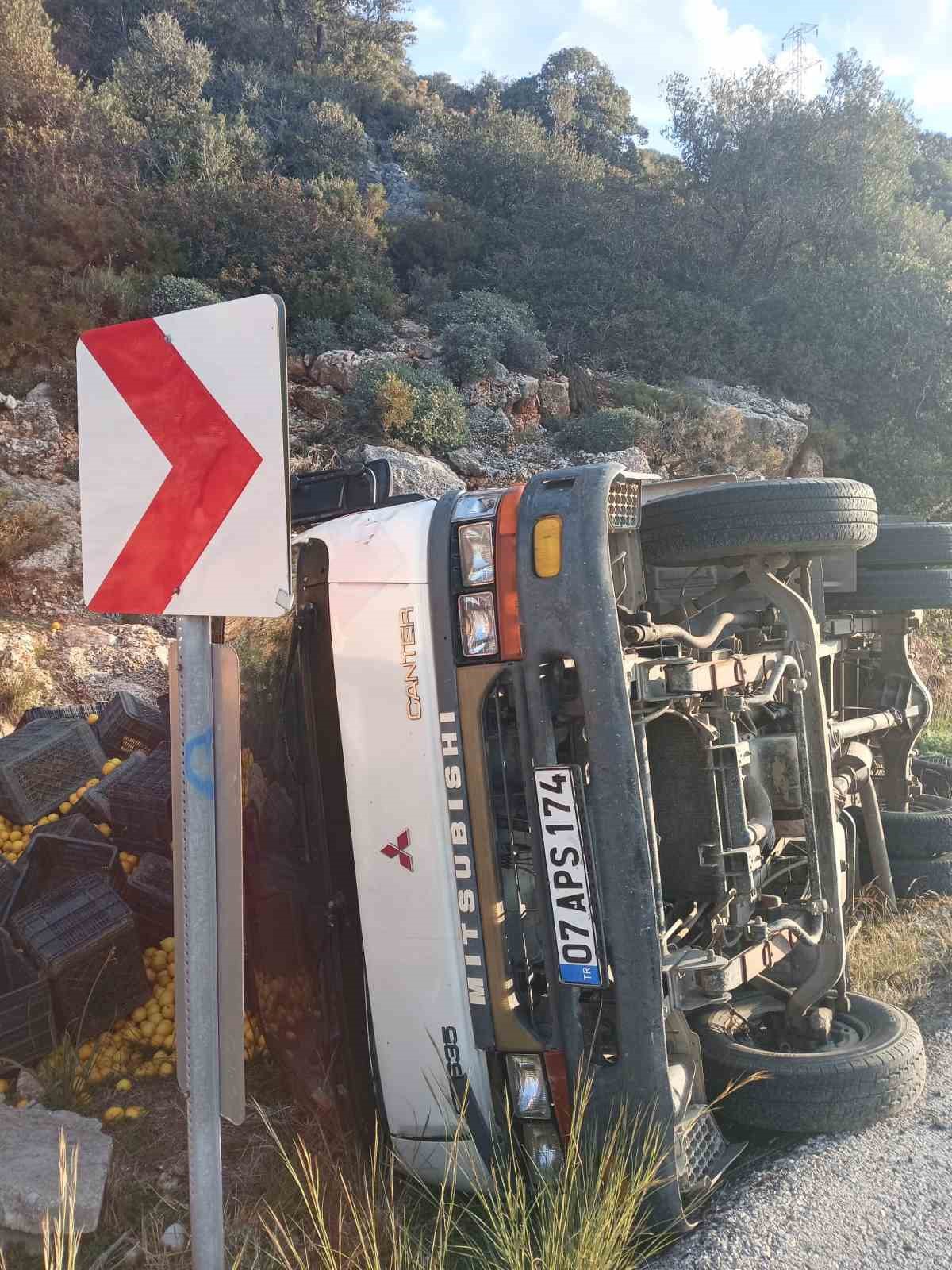 Limon Yüklü Kamyonet Devrildi: 1 Yaralı