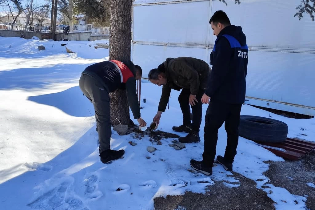 Malatya'da sokak hayvanları unutulmadı