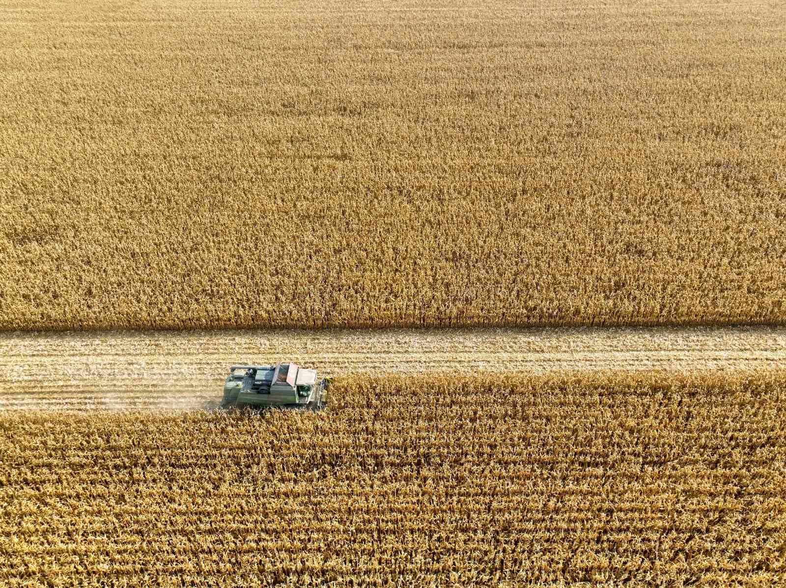 Manisada Toprak Sağlığı İçin Uluslararası Proje