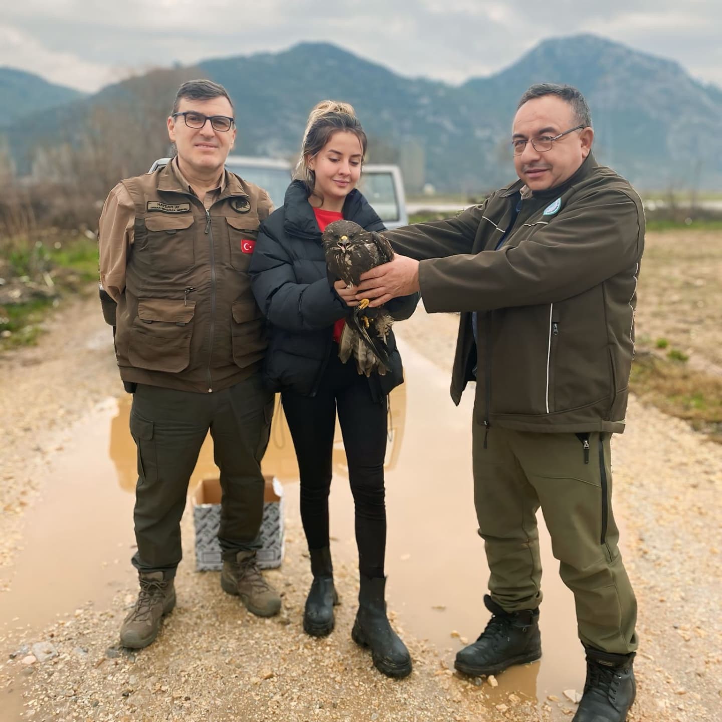 Menteşede Yaralı Şahin Kurtarıldı