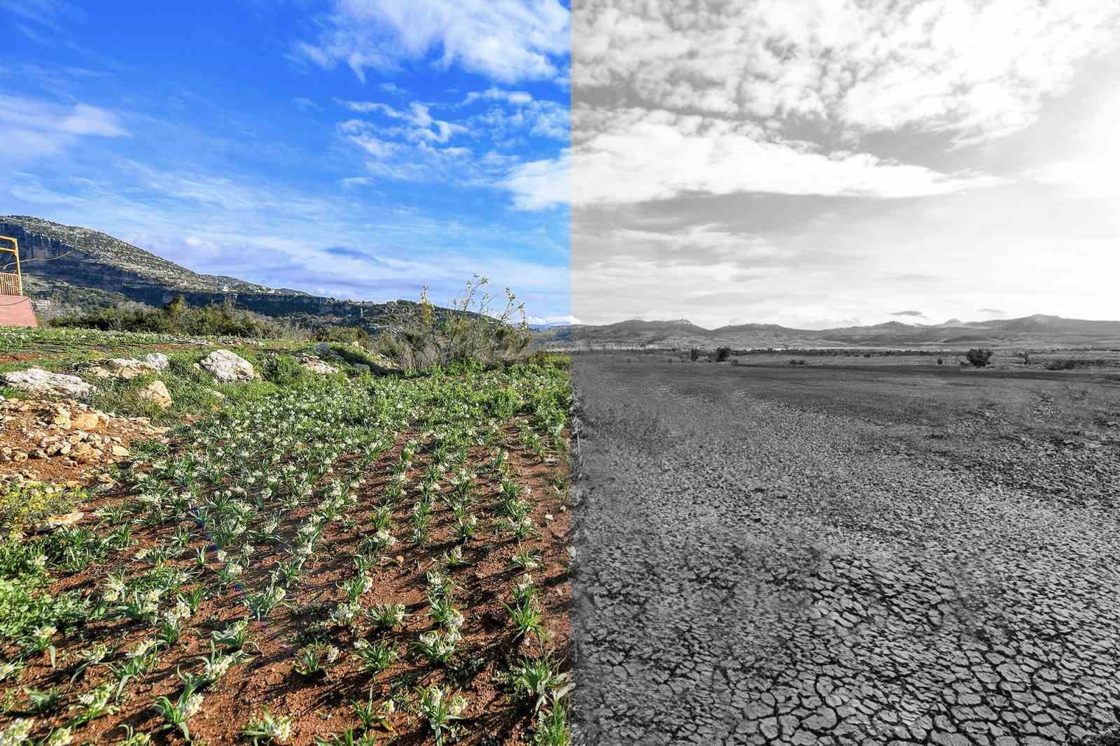 Mersin Sürdürülebilir Enerji Ve İklim Eylem Planı Hazırlandı