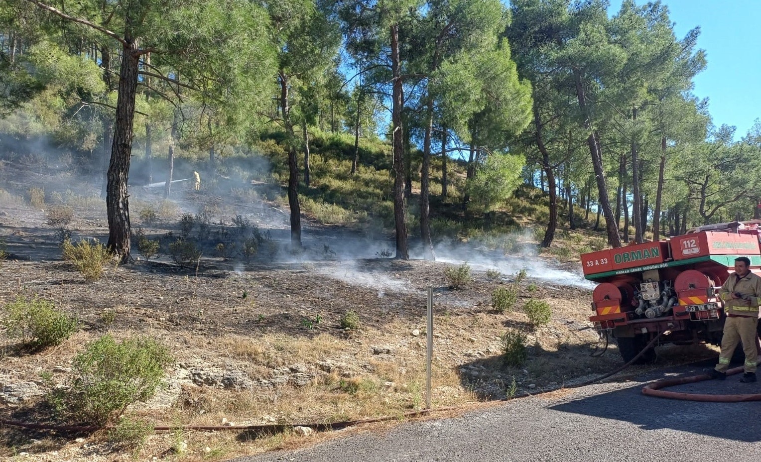 Mersinde Vadide Çıkan Orman Yangını, Büyümeden Söndürüldü