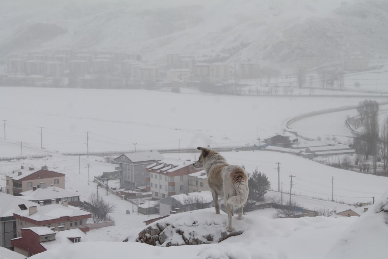 Meteorolojiden Bayburt İçin Kar Yağışı Uyarısı