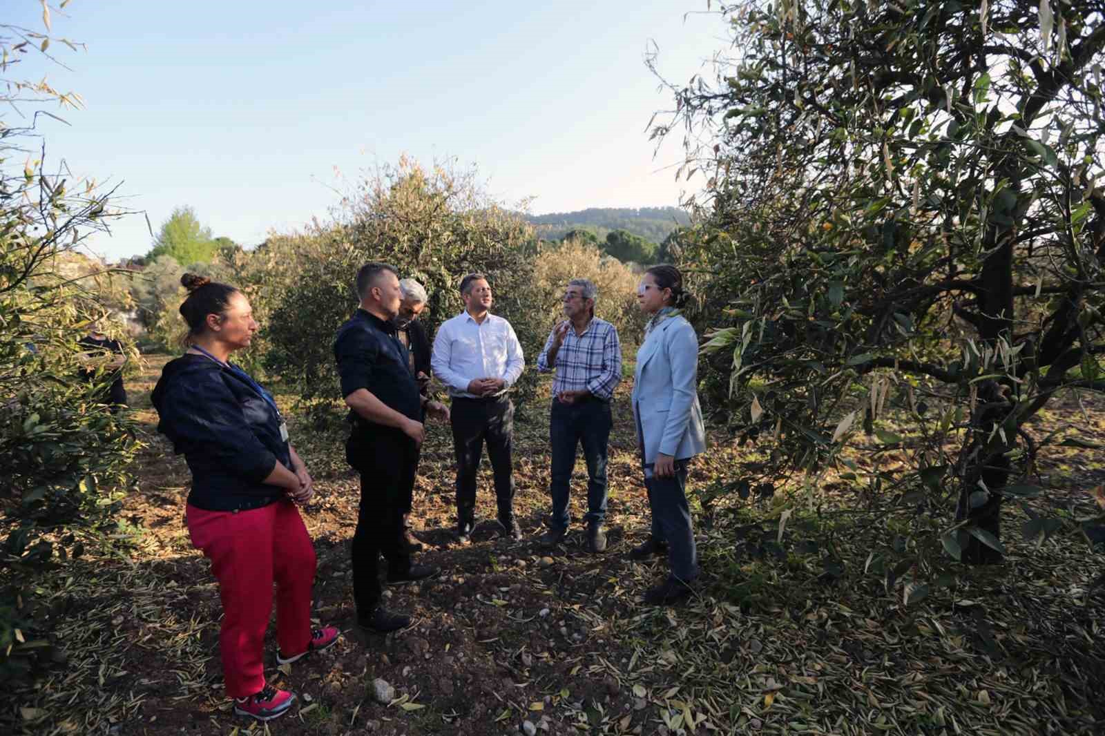 Muğla Büyükşehirden ‘Dondan Zarar Gören Üreticilere Destek