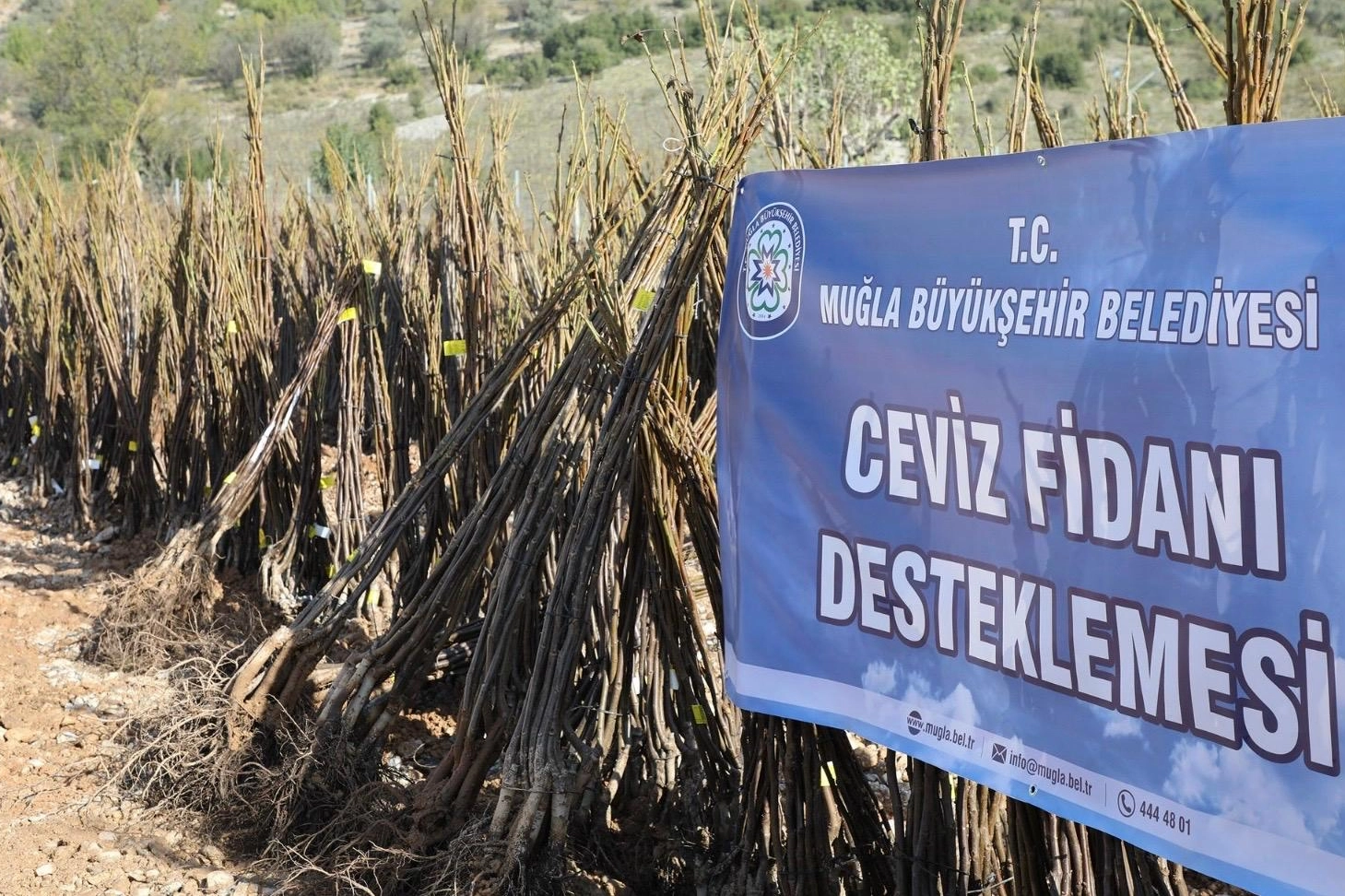 Muğla 'her kapıda bir fidan'la toprağa sahip çıkıyor