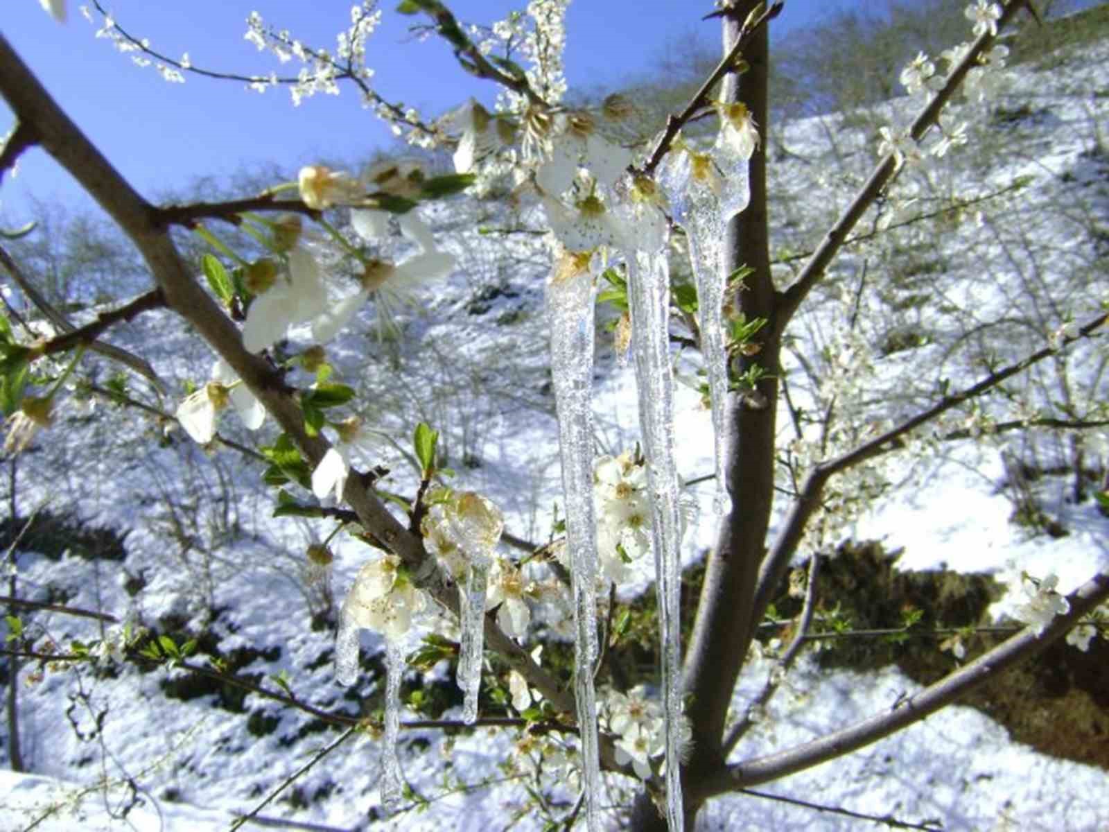 Muğlaya Yağmur Sonrası Soğuk Hava Uyarısı