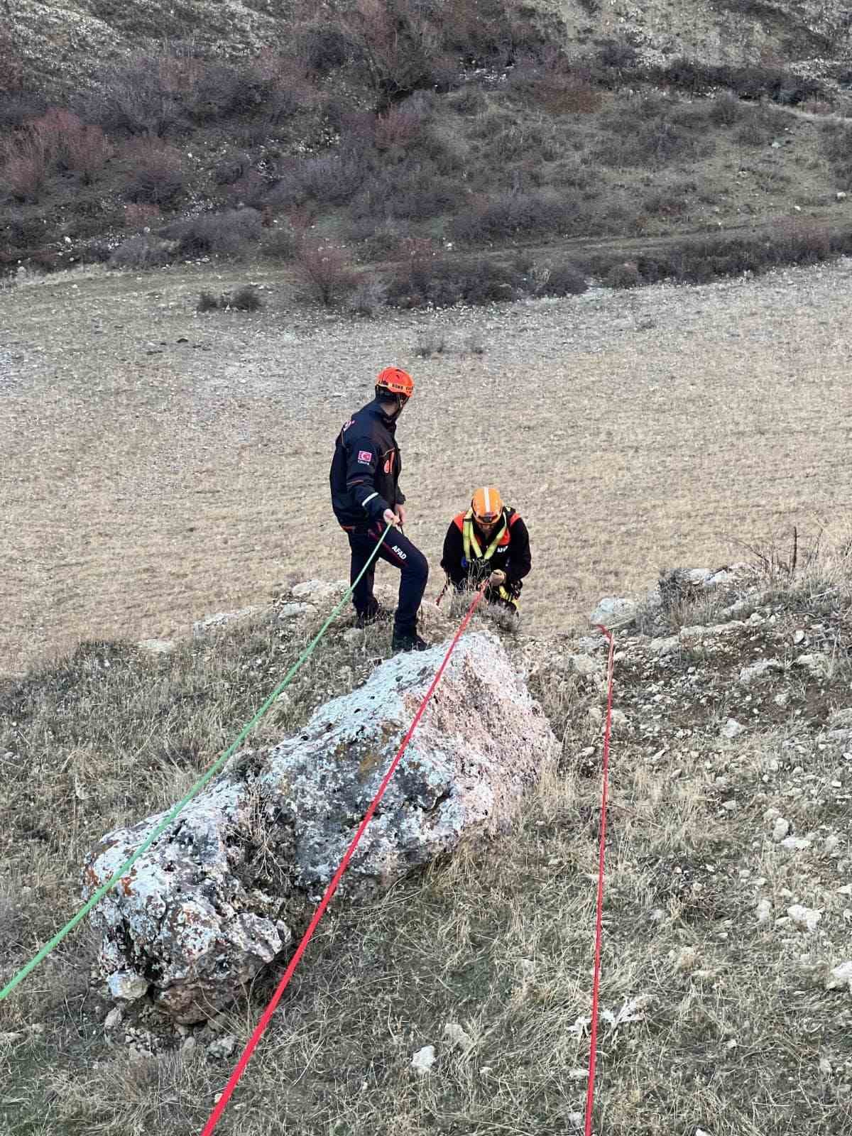 Muşta Kayalıkta Mahsur Kalan Keçiler Kurtarıldı